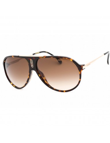 Carrera Unisex Sunglasses - Dark Havana Plastic Frame Brown Lens | HOT65 0086 HA une grave pollution 