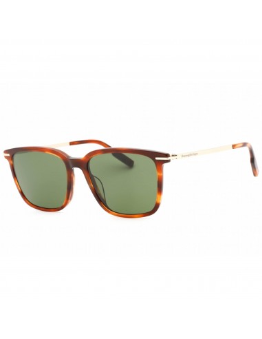 Ermenegildo Zegna Men's Sunglasses - Dark Havana Plastic Full Rim Frame | EZ0206 52N Comparez plus de prix