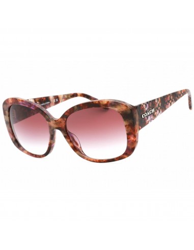 Coach Women's Sunglasses - Petal Tortoise Plastic Full Rim Frame | 0HC8363U 57398H ou a consommer sur place