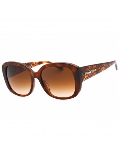 Coach Women's Sunglasses - Caramel Tortoise Plastic Full Rim Frame | 0HC8363U 574174 en linge