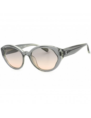 Coach Women's Sunglasses - Moss Plastic Full Rim Cat Eye Frame | 0HC8364U 574613 Véritable concentré