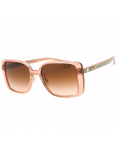 Coach Women's Sunglasses - Transparent Saddle Plastic Full Rim Frame | 0HC8375 574974 le concept de la Pate a emporter 