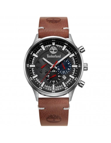 Timberland Men's Watch - Dress Sport Grey and Blue Dial Brown Strap | TDWGF2181702 sur le site 