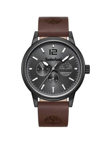 Timberland Men's Watch - Classic Grey Dial Brown Leather Strap Date | TDWGF9002301 de la marque