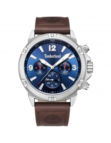 Timberland Men's Watch - Dress Sport Blue Dial Brown Strap Day-Date | TDWGF9002701 Amélioration de cerveau avec