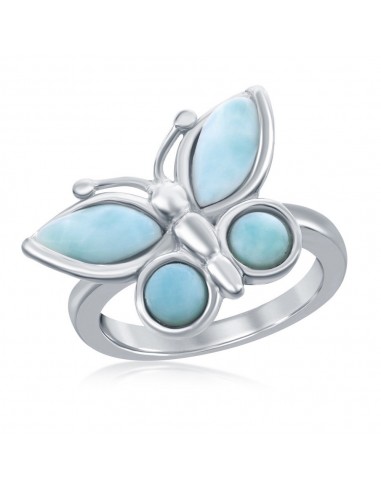 Sterling Silver Larimar Butterfly Ring - W-2502 Amélioration de cerveau avec