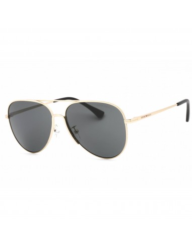 Emporio Armani Men's Sunglasses - Gold Frame Dark Grey Lens | 0EA2149D 337187 de technologie